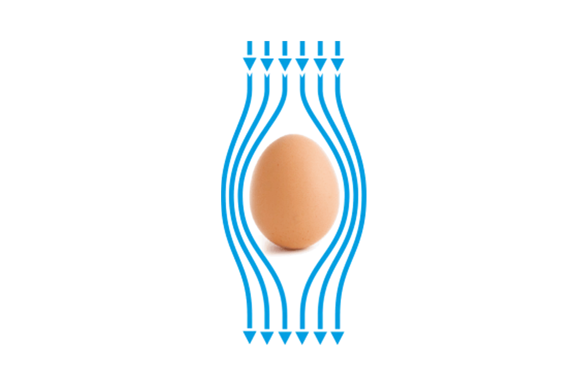 Abbildung der Umluft um das Ei