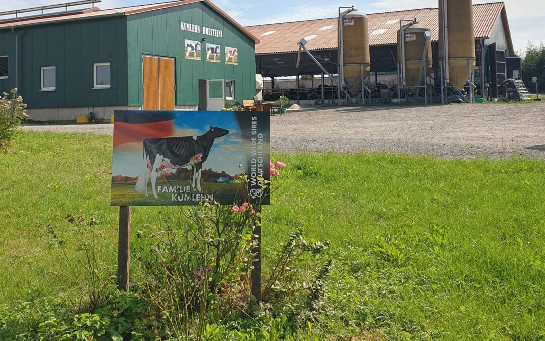 Kumlehn Holstein, Bassa Sassonia