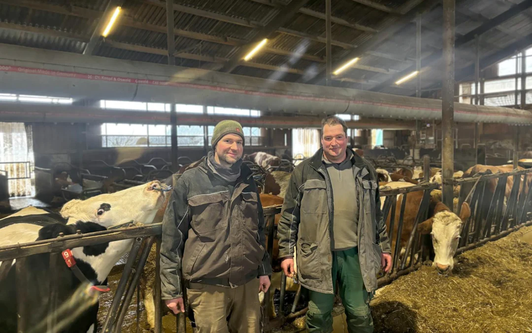 Stehle und Schmidt GbR, Baden-Württemberg