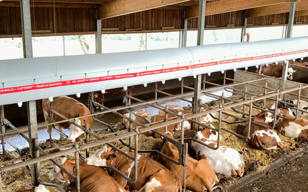 Vergleich verschiedener Methoden der Stallbelüftung für Milchviehställe