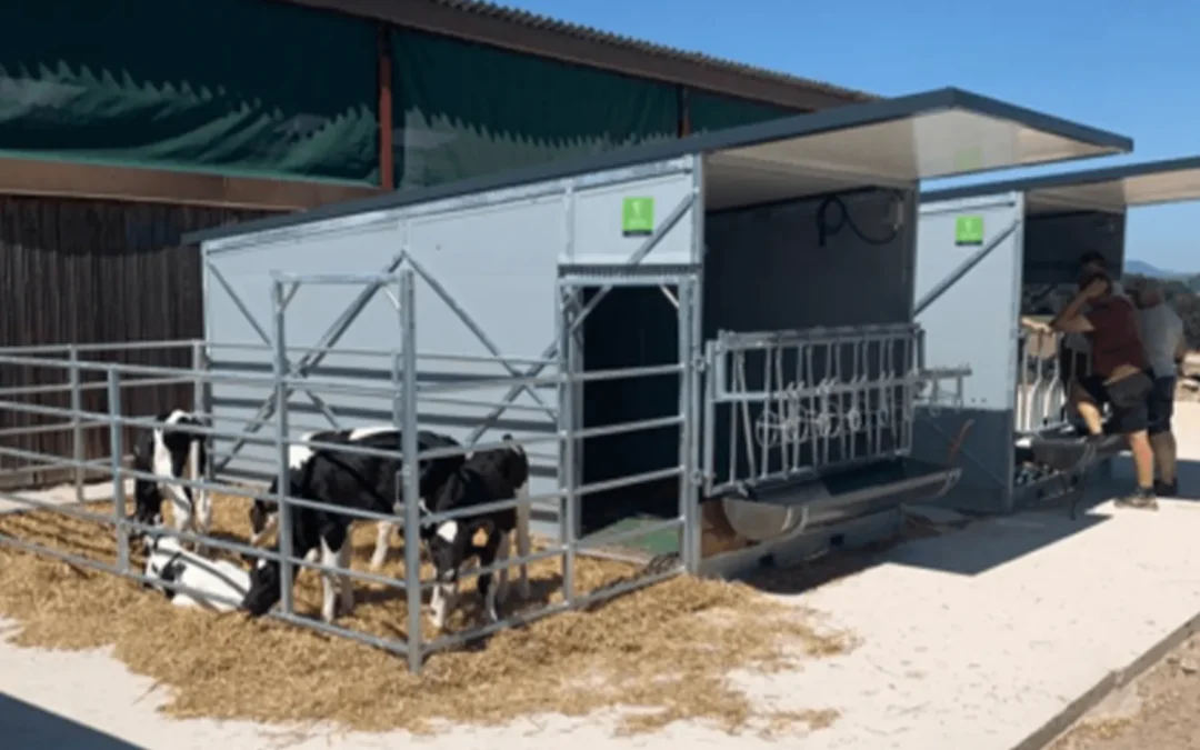 Der mobile Topcalf Kälberstall