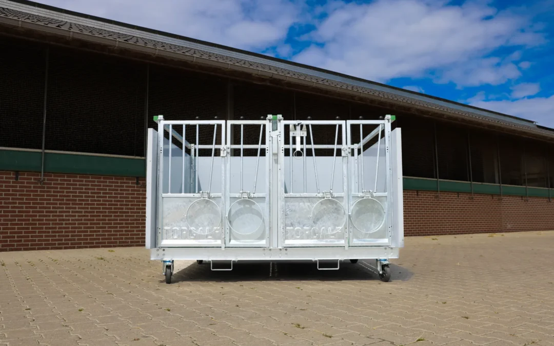 Topcalf Duo Kälberbox XL