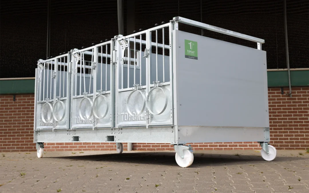 Topcalf Trio Kälberbox XL