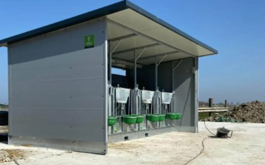 Conigliera per vitelli Topcalf Quattro