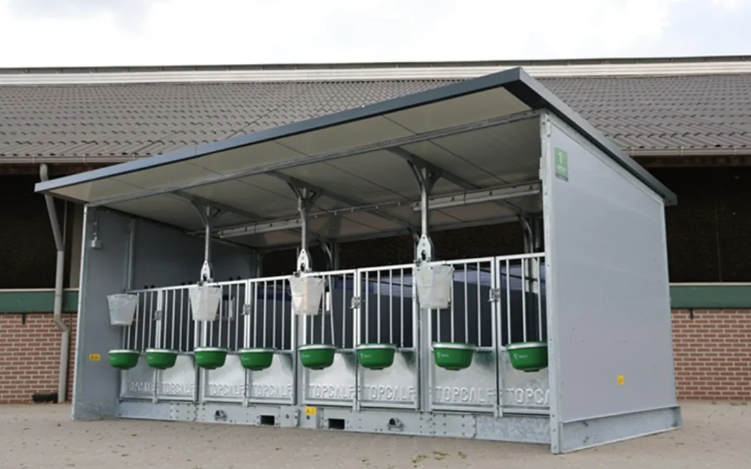 Scatola per vitelli Topcalf Quattro EasyClean XXL