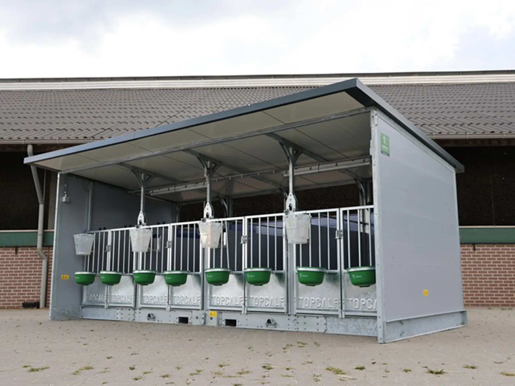 Healthy and resilient calves thanks to optimal design