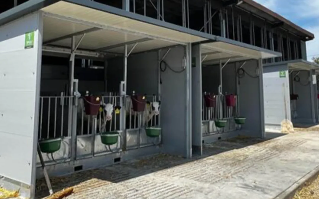 Capanna per vitelli Topcalf Trio