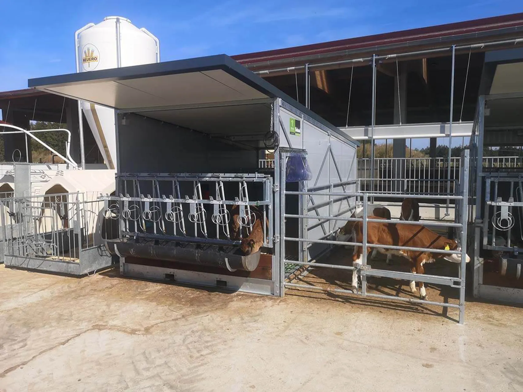 topcalf