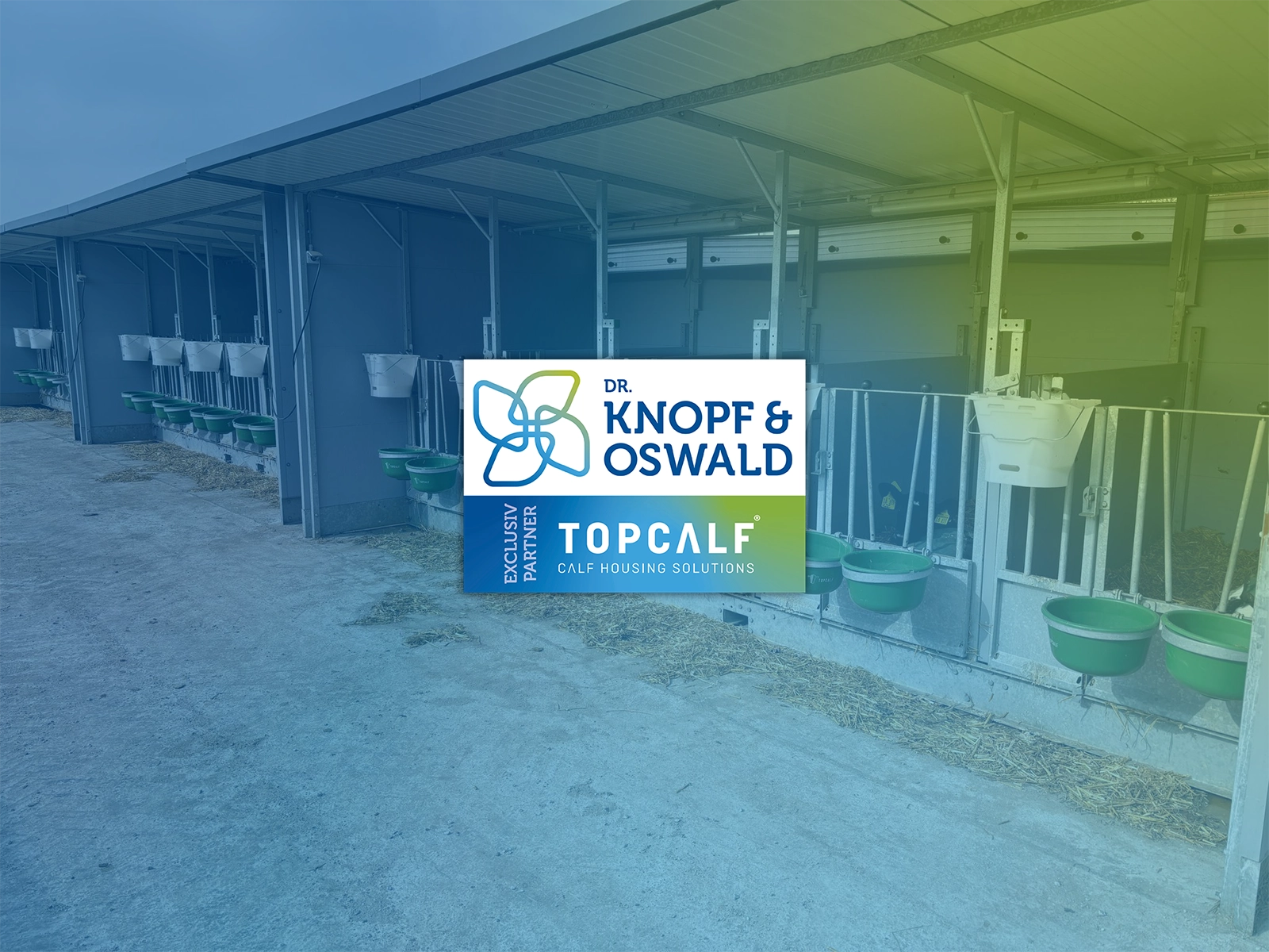 Topcalf e Dr. Knopf & Oswald sono partner commerciali ufficiali