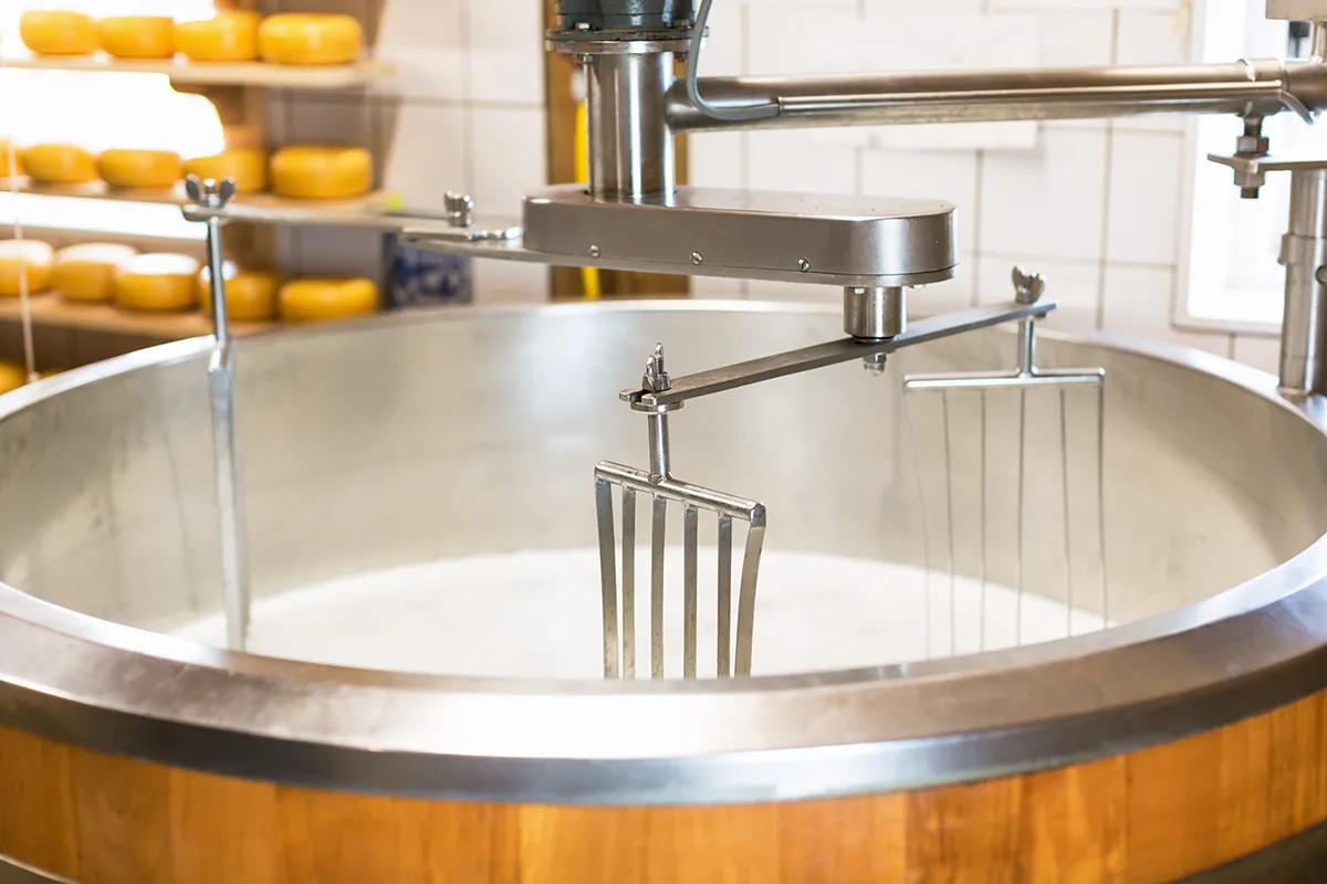 Good milk quality determines good cheese products